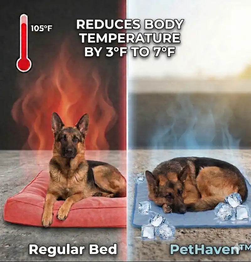 Wellnestra PetHaven™ Cooling Mat 🐾