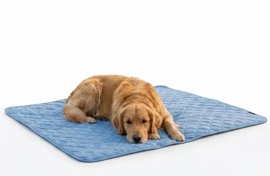 Pet Cooling Mat for Summer 🐾