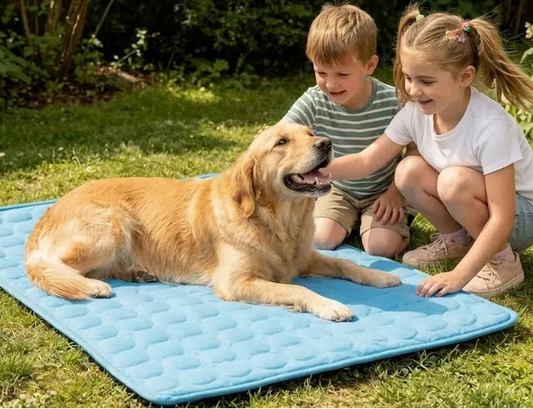 Wellnestra PetHaven™ Cooling Mat 🐾