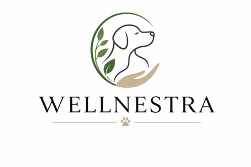 Wellnestra